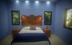 The Flycatcher Inn Retreat Hotel
